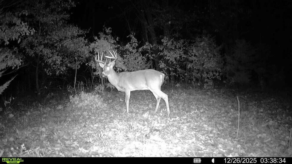 More Photos Of Pike 49 (12+/- Acres), Frankford Land For Sale