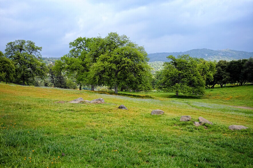 More Photos Of 46565 Dry Creek Dr., Badger Land For Sale