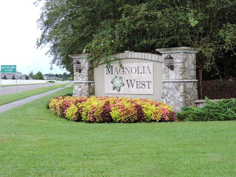 More Photos Of 3725 CR 315A, Green Cove Springs Land For Sale