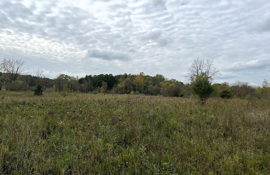 More Photos Of Whitmore Lake Rd, Whitmore Lake Land For Sale