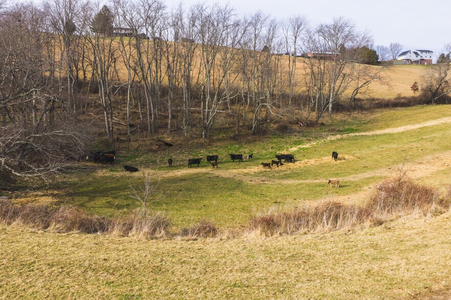 More Photos Of 230 Barn Ave, North Tazewell Land For Sale