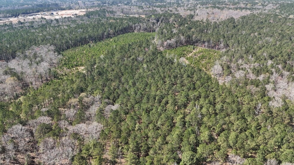 More Photos Of 132 Wessinger Ln, Columbia Land For Sale