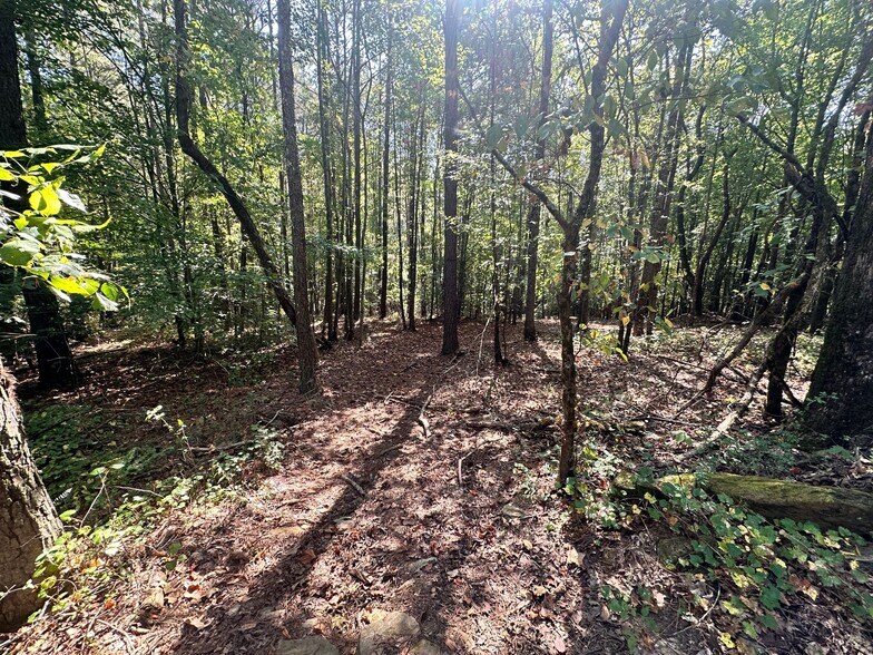 More Photos Of 00 Frix Rd, Cumming Land For Sale