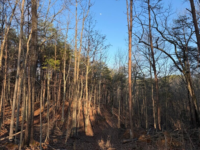 More Photos Of 260 Arnold Rd NE, Fairmount Land For Sale