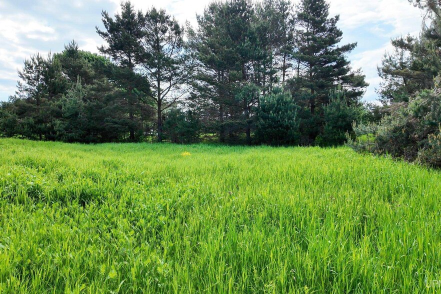 More Photos Of TBDState Highway M-123, Newberry Land For Sale
