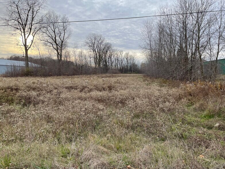 More Photos Of 0 Van Dyke Rd, Almont Township Land For Sale