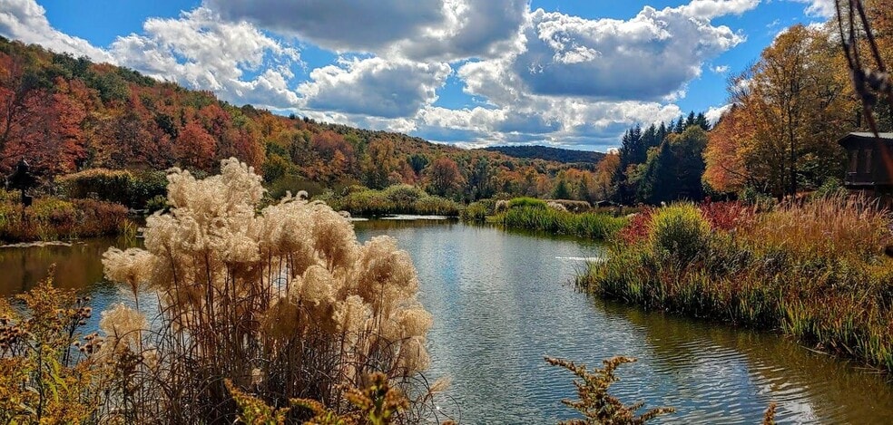 More Photos Of 304 Sutherland Rd, East Meredith Specialty For Sale