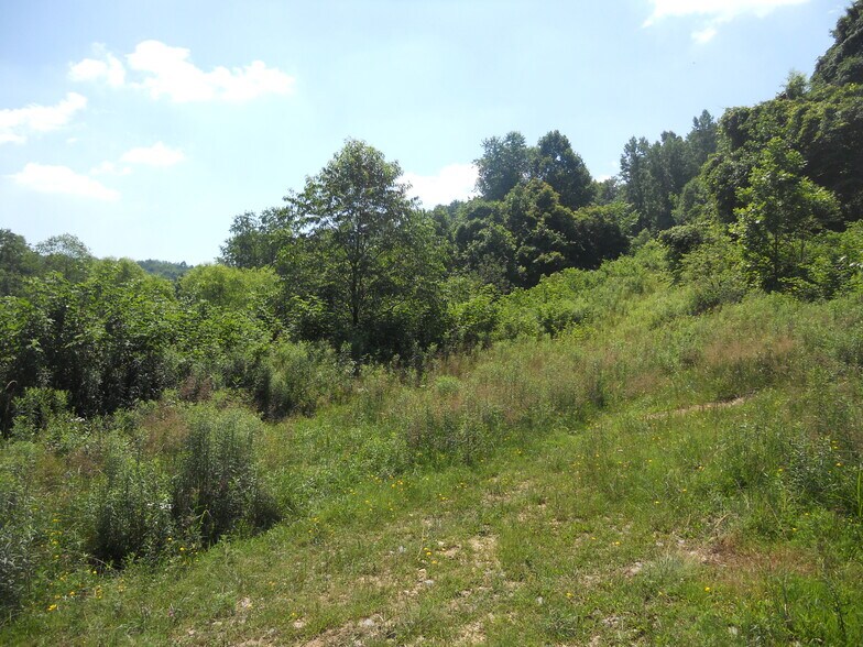 More Photos Of 595 Wades Run Rd, Morgantown Land For Sale