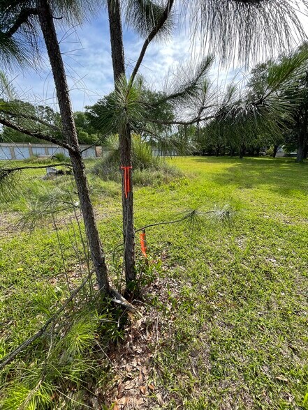 More Photos Of 21010 Old Scenic Hwy, Zachary Land For Sale