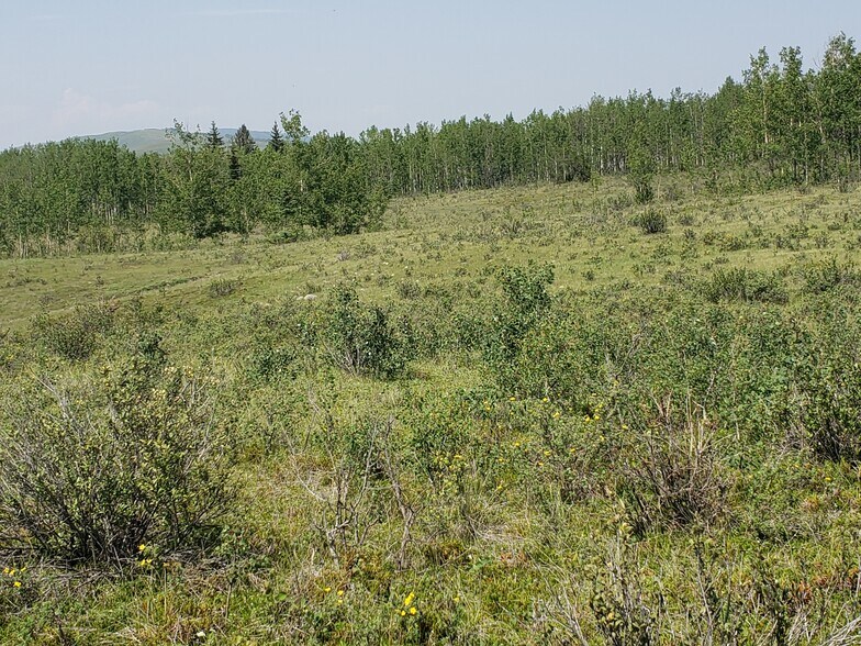 More Photos Of 2 Bow River, Rocky View No 44 Land For Sale