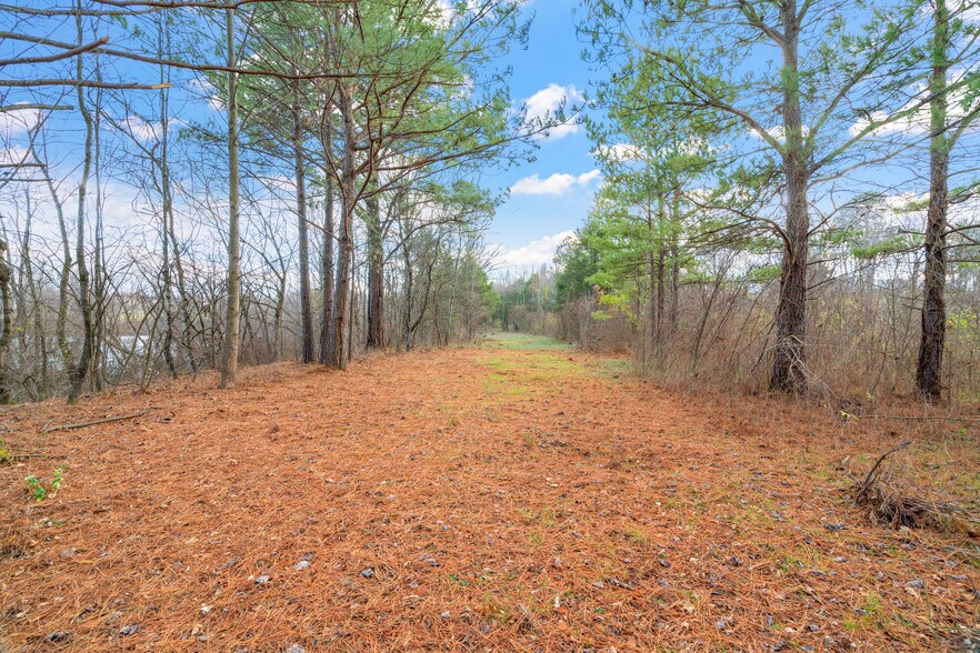 More Photos Of 0 Old Athens Pike, Sweetwater Land For Sale