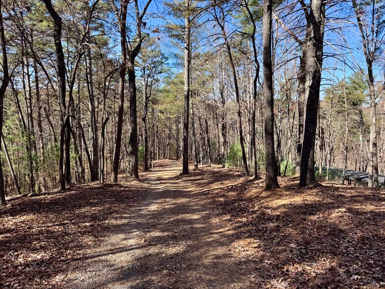 More Photos Of 536 Vayhaus Trl, Ellijay Specialty For Sale