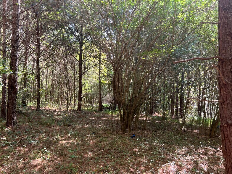 More Photos Of 124 S Kelley St, Tallapoosa Land For Sale