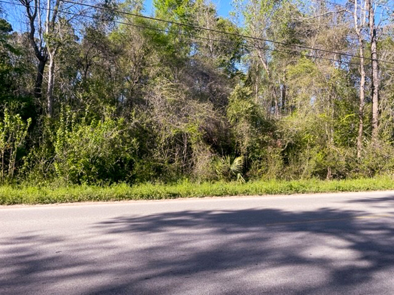 Primary Photo Of Sleepy Hollow Road, Conroe Land For Sale