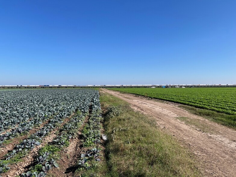 More Photos Of 271.62 Acs on West side of Pharr Intl. Bridge, Pharr Land For Sale