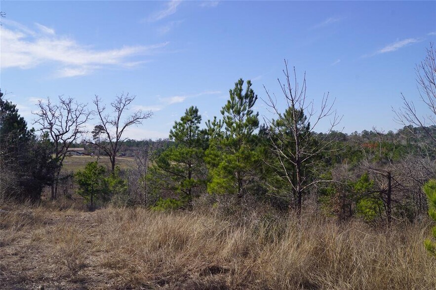 More Photos Of 488 Kelley Rd, Bastrop Land For Sale