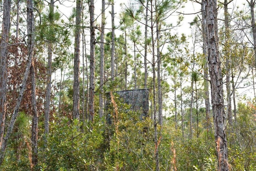 More Photos Of 8425 SW Martin Hwy, Palm City Land For Sale