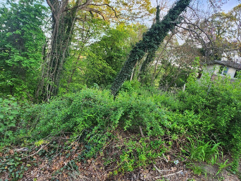 Primary Photo Of Fernwood Ln, Roslyn Land For Sale