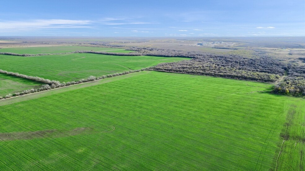 More Photos Of TBD Wall St Rd, Gunter Land For Sale