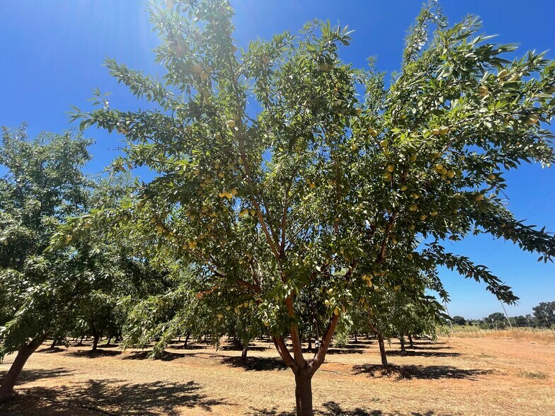 More Photos Of 0 Twin Cities rd, Herald Land For Sale