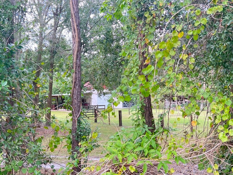 More Photos Of 5911 Ehrlich Rd, Tampa Land For Sale