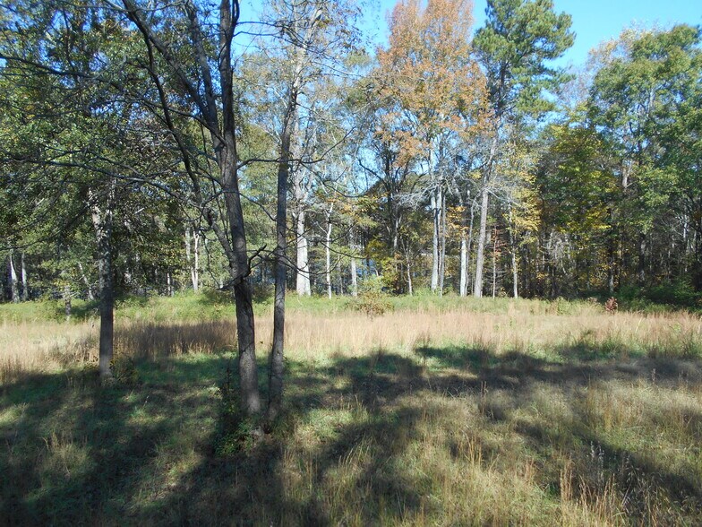 More Photos Of NW CORNER OF HWY 83 & UNISIA DR, Monroe Land For Sale