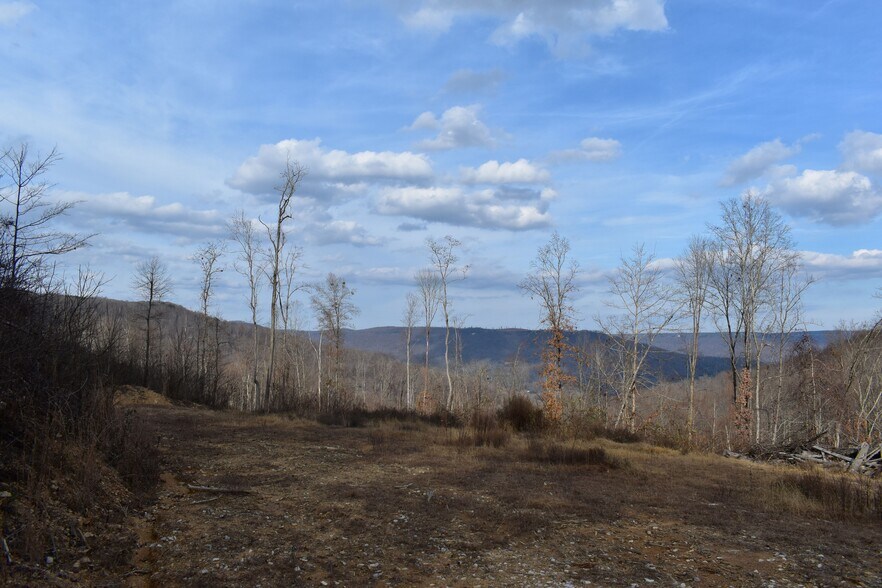 More Photos Of 126 Bolton Point Rd, South Pittsburg Land For Sale