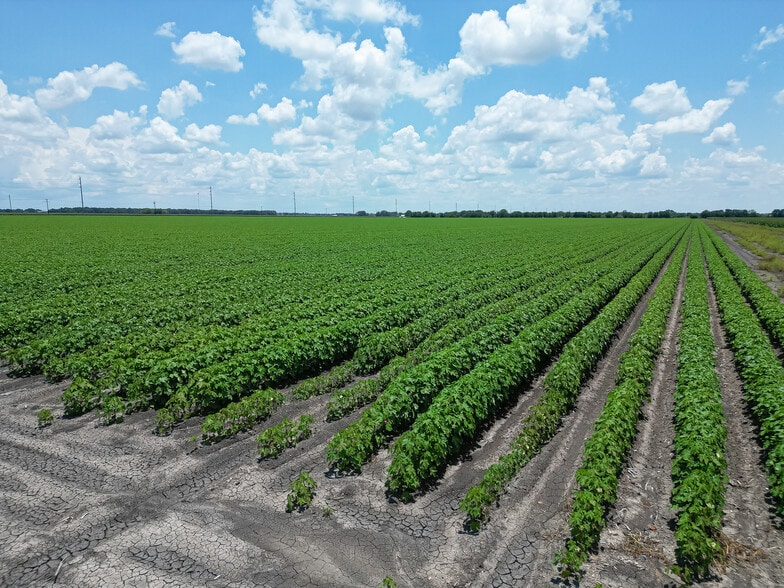 More Photos Of Pleak Road & FM 2977, Richmond Land For Sale