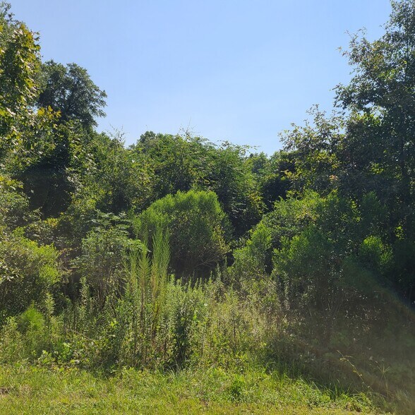 More Photos Of Airport Rd Tract # 4 Perry GA 31069, Perry Land For Sale