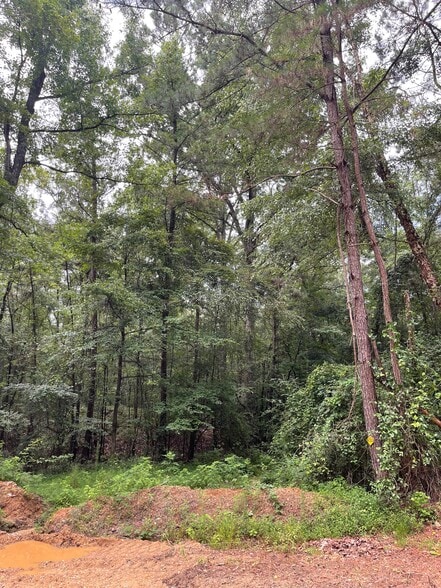 More Photos Of 17796 Dry Branch loop, Northport Land For Sale