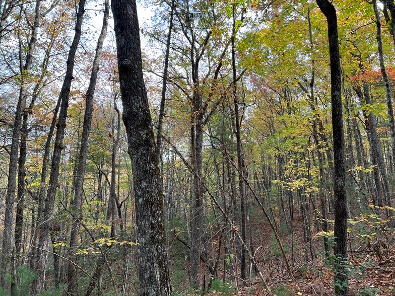 More Photos Of Whitecliff Drive, Ellijay Land For Sale