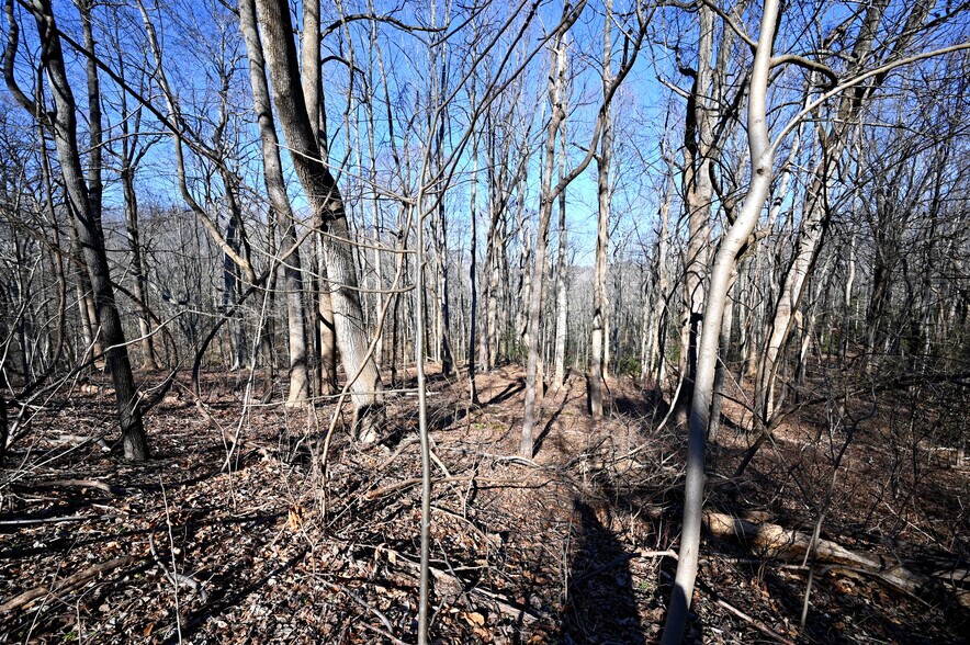 More Photos Of Richard Allen St, Aquasco Land For Sale