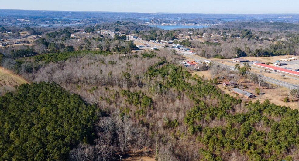More Photos Of 12261 US Highway 431, Guntersville Land For Sale