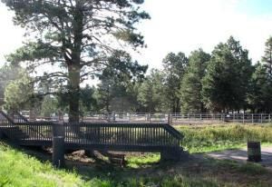 More Photos Of 2600 W Kiltie Ln, Flagstaff Horse Stables For Sale
