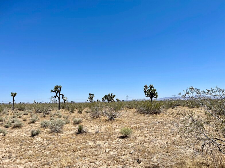 More Photos Of Nevada Rd @ South St., Phelan Land For Sale