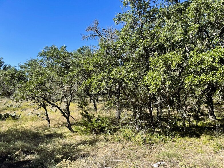 More Photos Of 1276 Farm to Market Road 574, Mullin Land For Sale