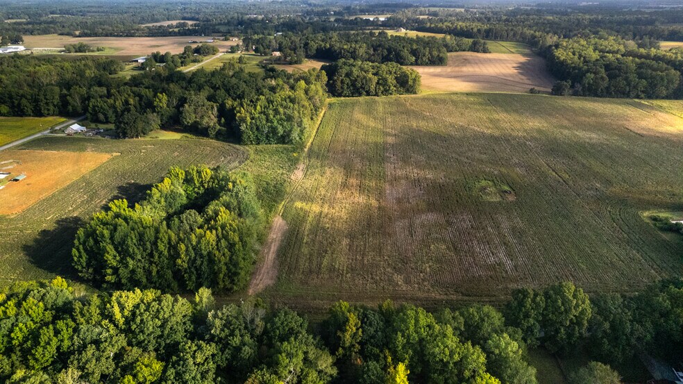 More Photos Of 20Acres Manley Rd, Hazel Green Land For Sale
