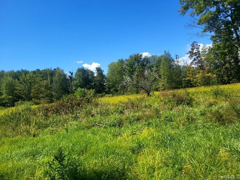Primary Photo Of 328 Bloomingburg Rd, Middletown Land For Sale