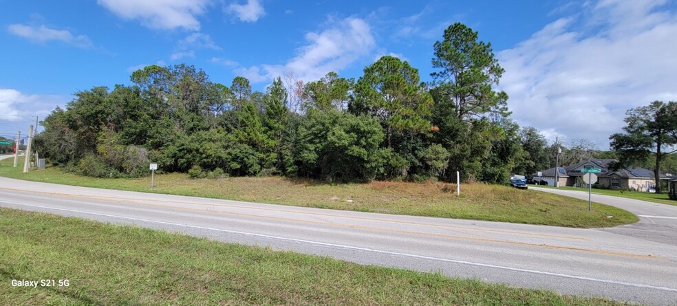 Primary Photo Of Lake Helen Osteen Rd, Deltona Land For Sale