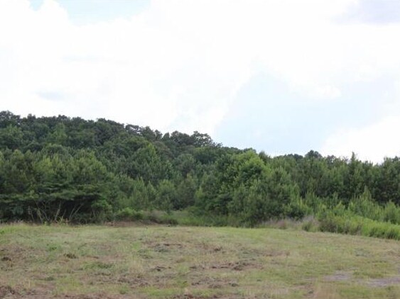 Primary Photo Of 0 AL HWY 157, Cullman Land For Sale
