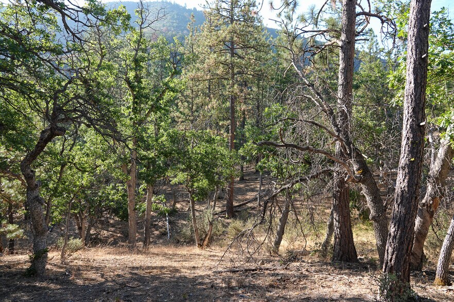 More Photos Of 0 East Rd, Fort Jones Land For Sale