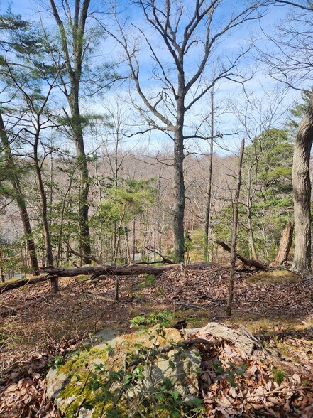 More Photos Of Lot 69 Plantation, Montross Land For Sale