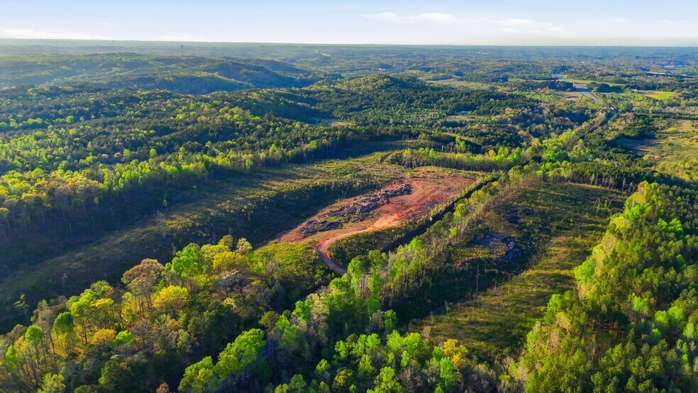 More Photos Of 0 Highway 269, Parrish Land For Sale