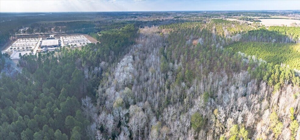 More Photos Of 3246 Belleville Rd, Orangeburg Land For Sale