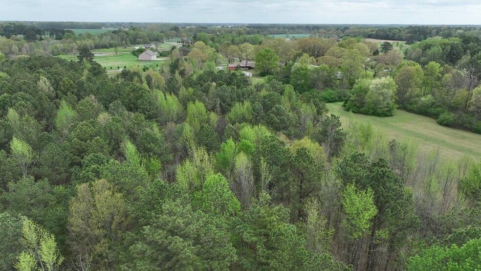 More Photos Of 18990 Moyers Rd, Athens Land For Sale