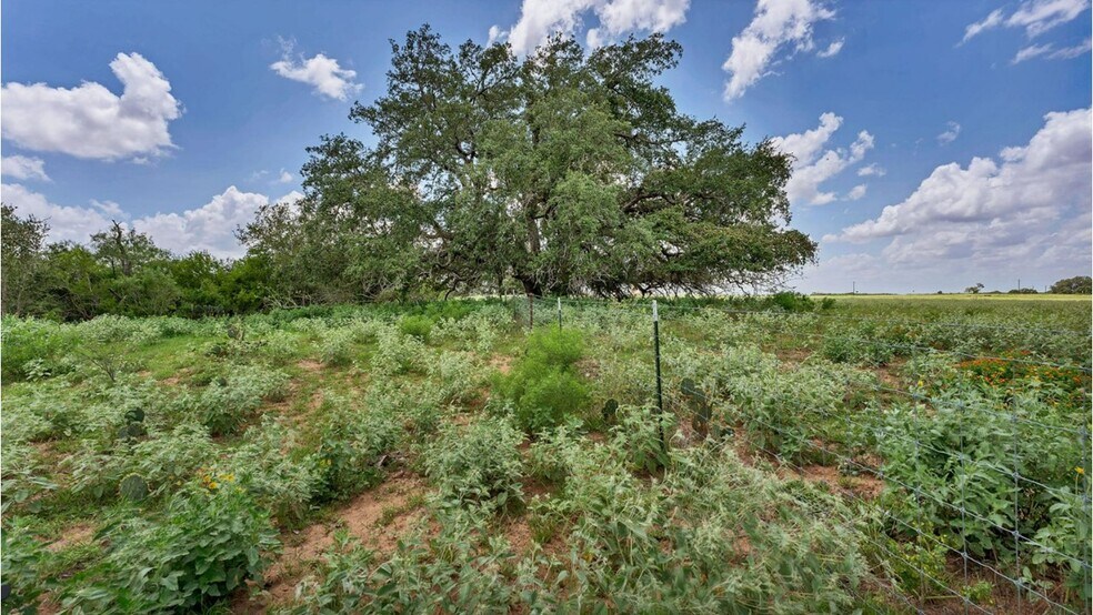 More Photos Of 209 FM 1344, Floresville Land For Sale