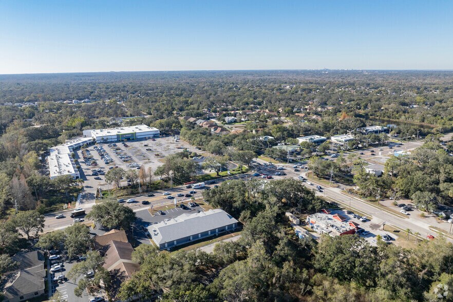 More Photos Of 114-118 E Bloomingdale Ave, Brandon Storefront Retail Office For Lease