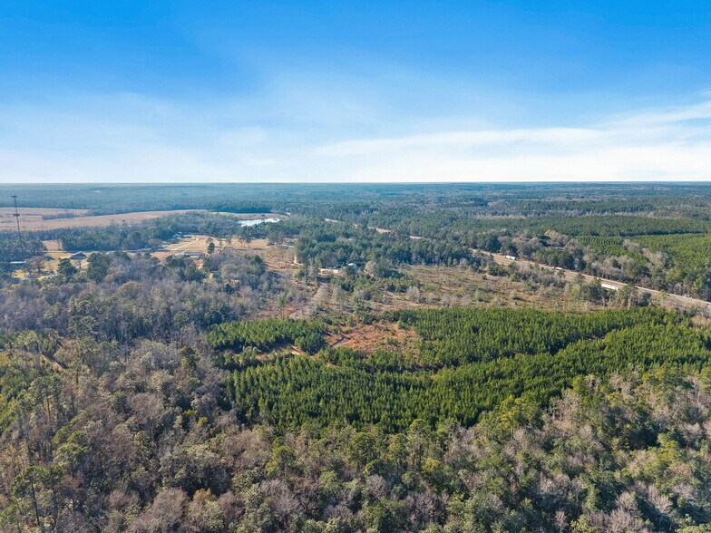 More Photos Of 55750 Lottie Rd, Perdido Land For Sale