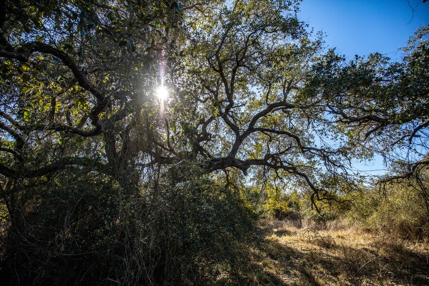 More Photos Of 6498 Highway 35 North, Rockport Land For Sale