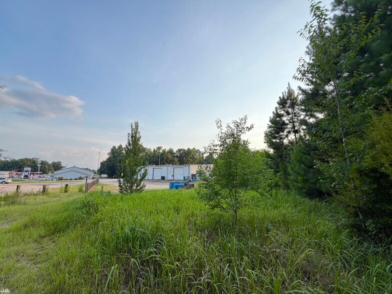 More Photos Of 0 Odom Lane, Chatom Land For Sale